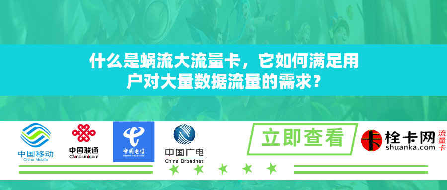 什么是蜗流大流量卡，它如何满足用户对大量数据流量的需求？
