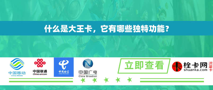 什么是大王卡，它有哪些独特功能？