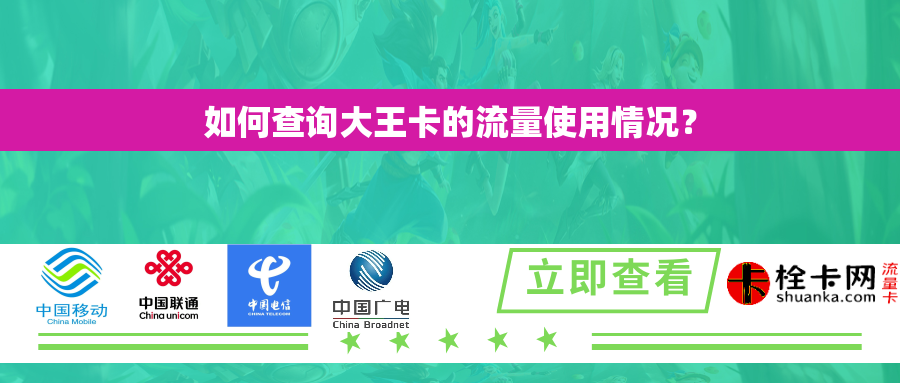 如何查询大王卡的流量使用情况？