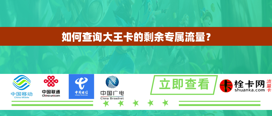 如何查询大王卡的剩余专属流量? 如何查询大王卡的剩余专属流量?