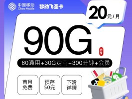 移动飞圣卡 20元90G+300分钟+会员 18-24周岁